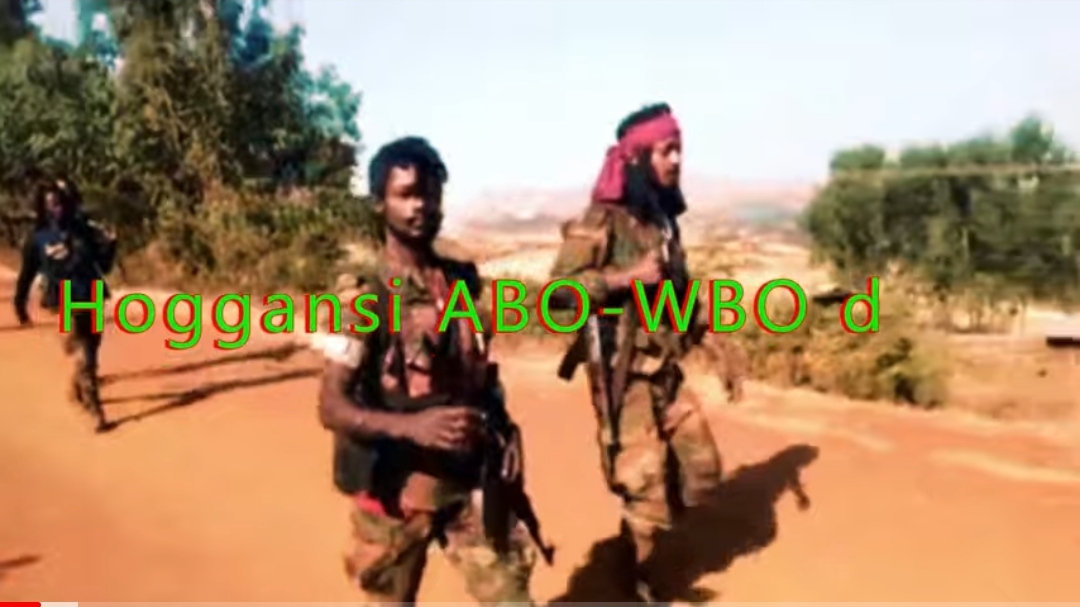 Wallee Jaal Haacaaluu Roobaa Hoggansi Abo Wbo Dha Qeerroo